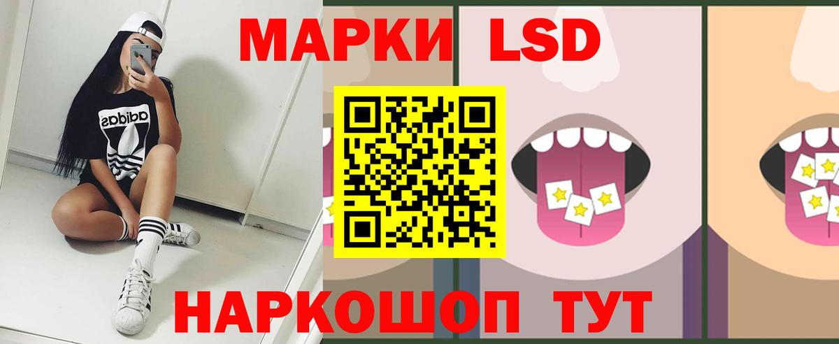 А ПВП Владимир