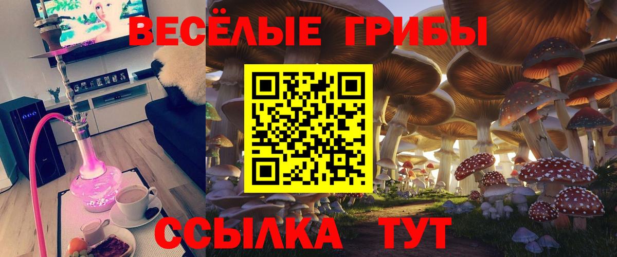 Галлюциногенные грибы Cubensis Владимир