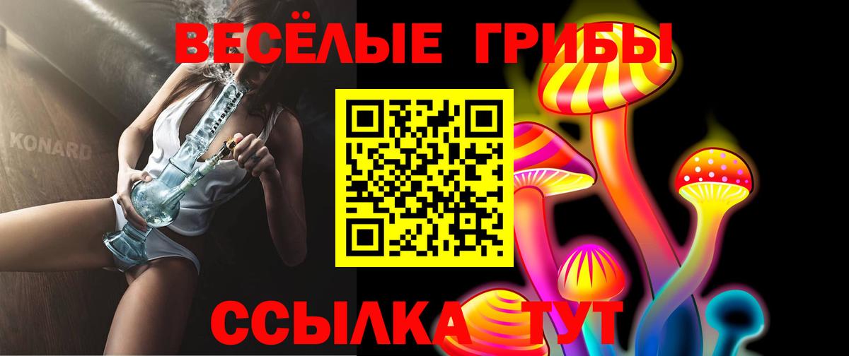 Псилоцибиновые грибы Psilocybe  Вход с VPN  Владимир  Галлюциногенные грибы Psilocybe 